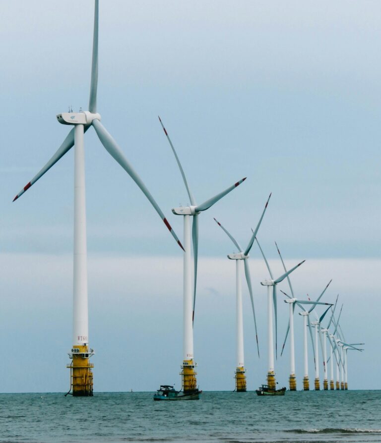 Allocation Round 8 to take first bids on 20 July