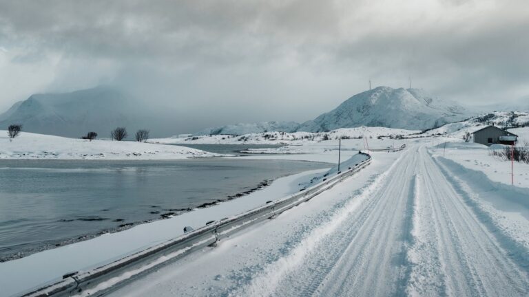 EU Arctic strategy prioritises subsea cables, energy links and security